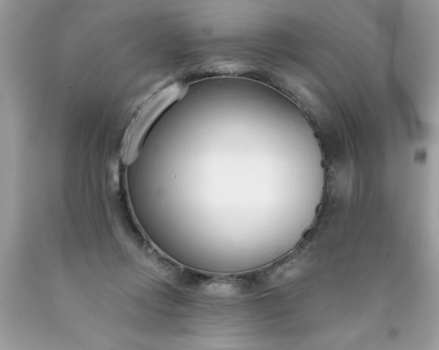 X0000090460358200707272242