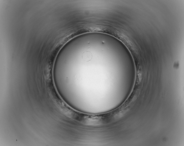 X0000090460359200707272242