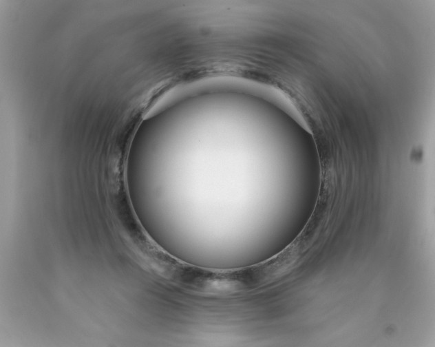 X0000090460360200707272242