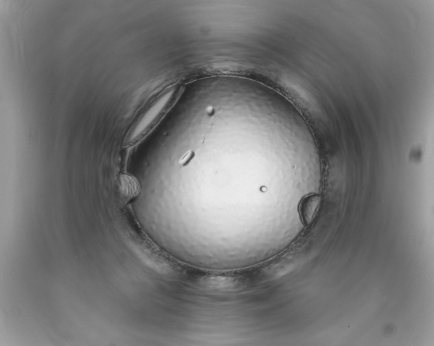 X0000090460361200707272242