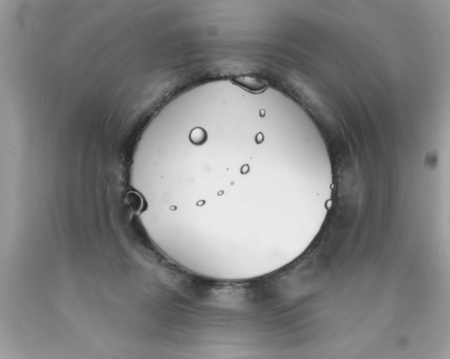 X0000090460362200707272242