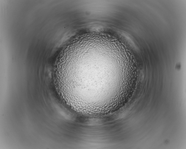 X0000090460363200707272242