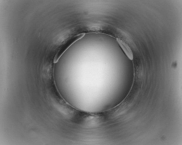 X0000090460364200707272242