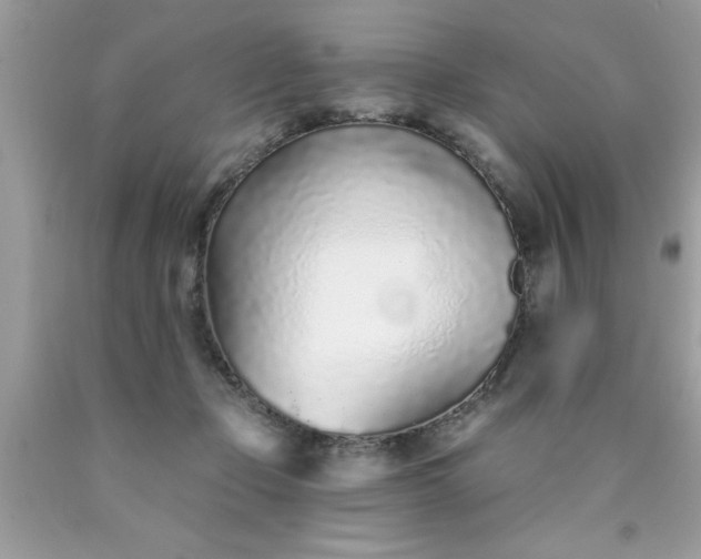 X0000090460365200707272242