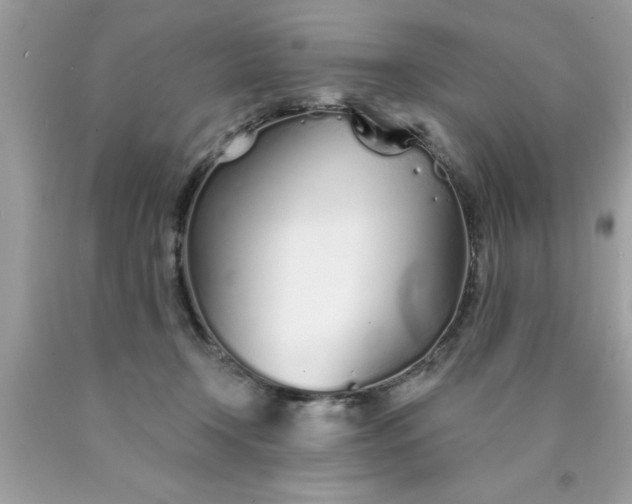 X0000090460366200707272242