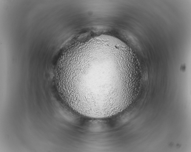 X0000090460367200707272242