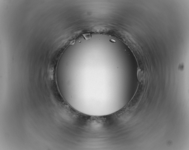 X0000090460368200707272242