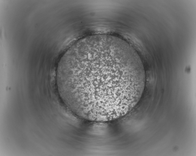 X0000090460369200707272242
