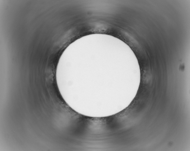 X0000090460370200707272242