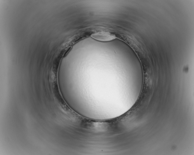 X0000090460371200707272242