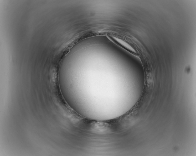 X0000090460372200707272242