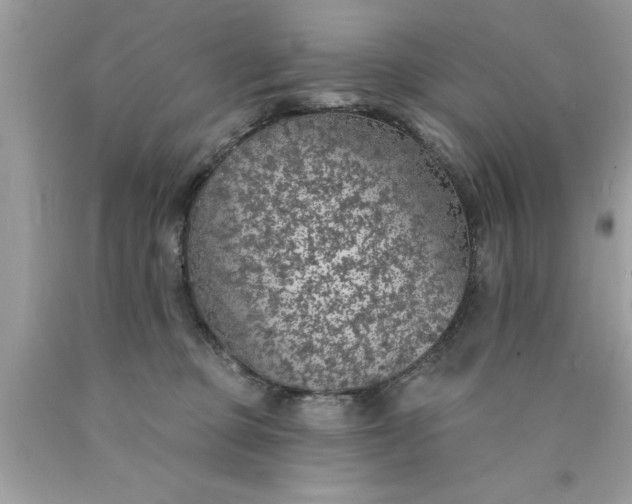 X0000090460373200707272242