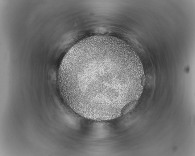 X0000090460375200707272242