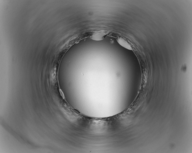 X0000090460376200707272242