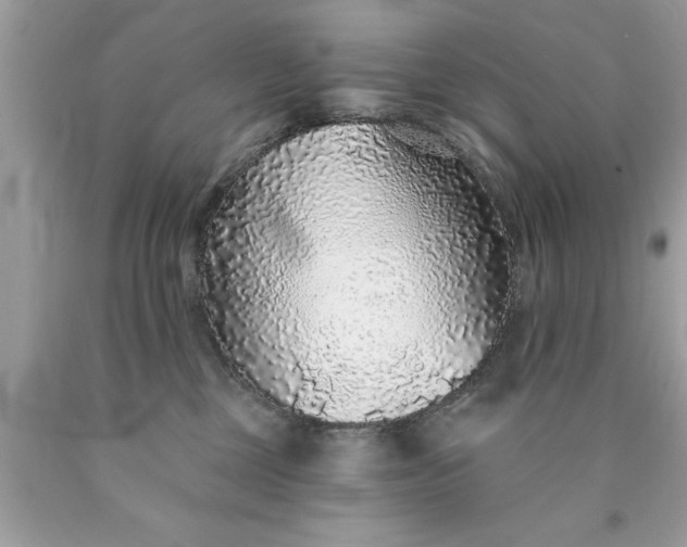 X0000090460377200707272242