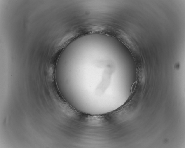 X0000090460378200707272242