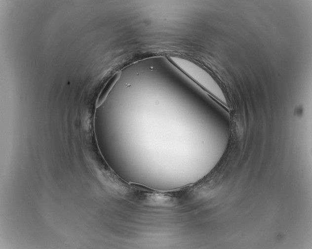 X0000090460380200707272242