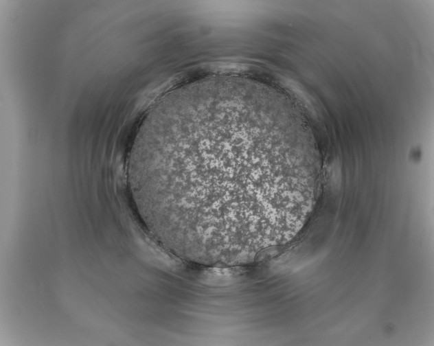 X0000090460381200707272242