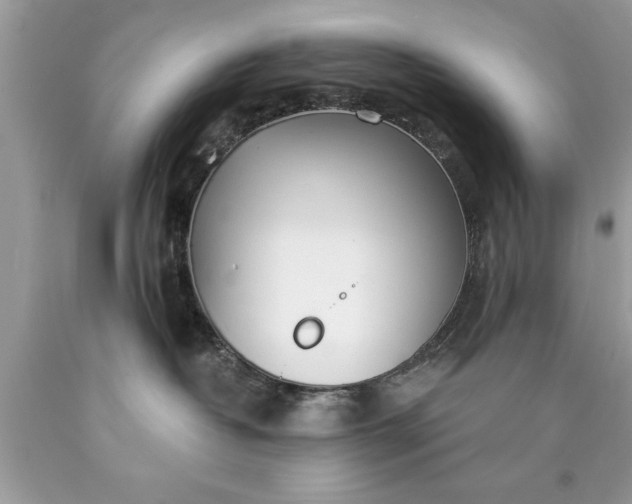 X0000090460382200707272242