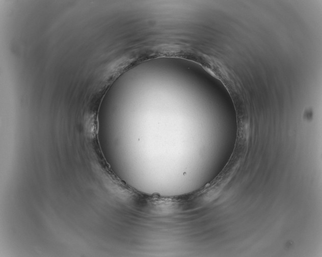 X0000090460383200707272242
