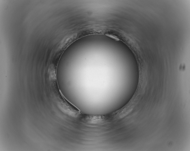 X0000090460384200707272242