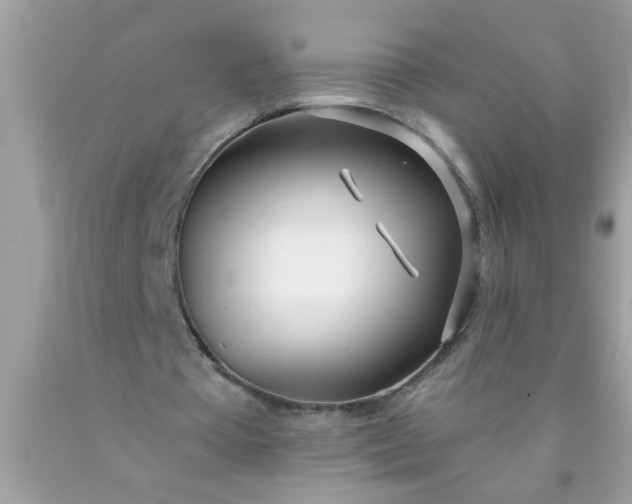 X0000090460385200707272242