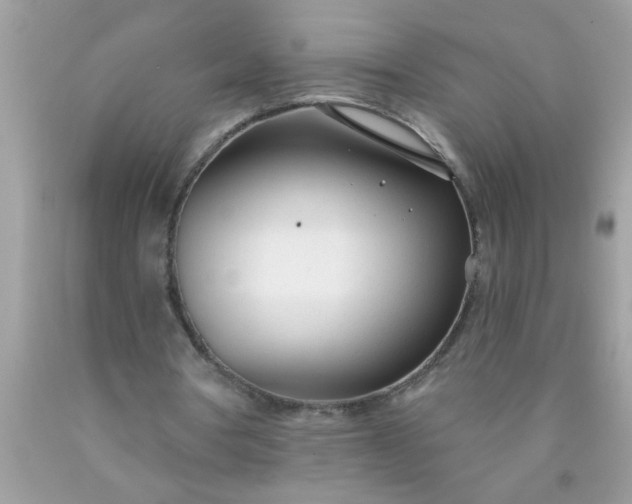 X0000090460386200707272242