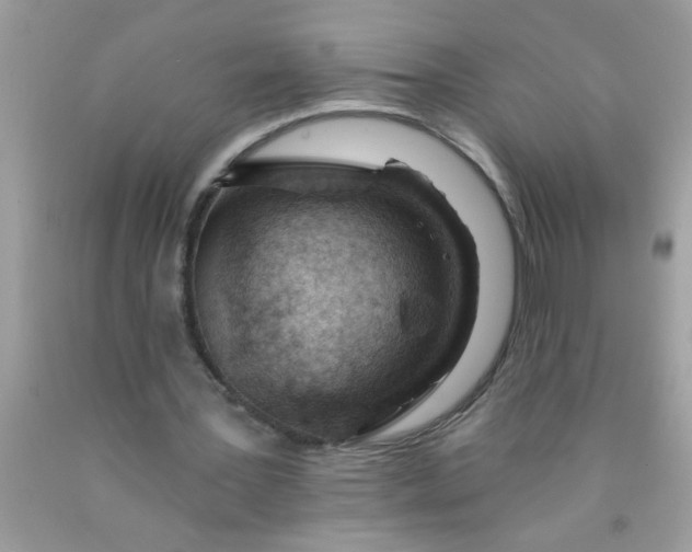 X0000090460387200707272242