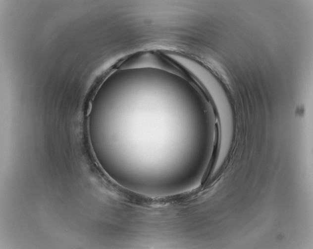 X0000090460388200707272241