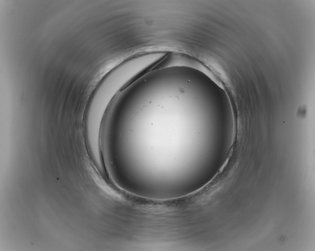 X0000090460389200707272241