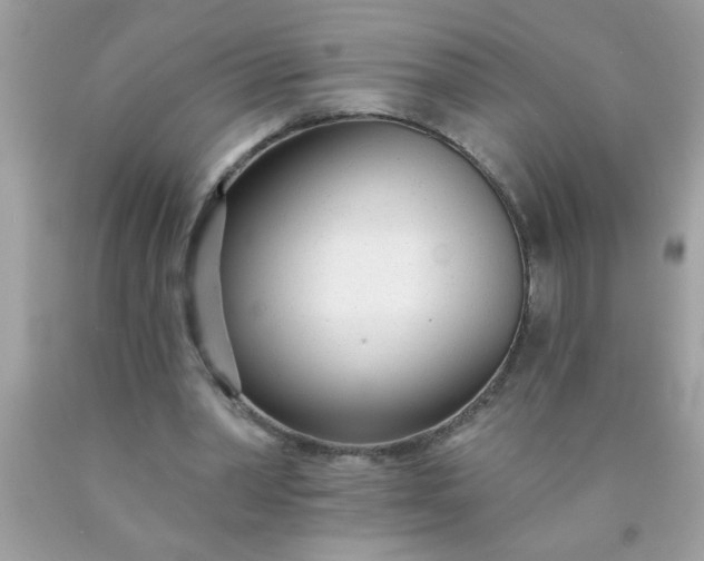 X0000090460390200707272241