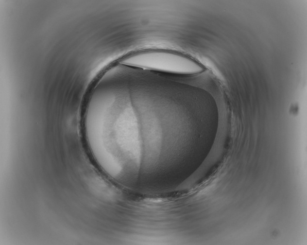 X0000090460391200707272241