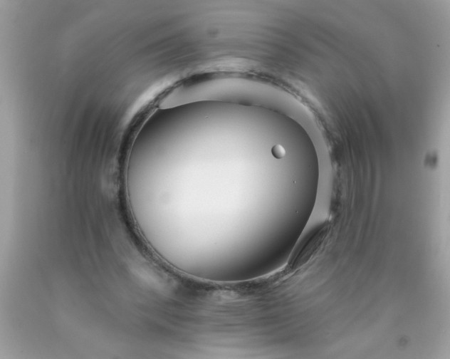 X0000090460392200707272241