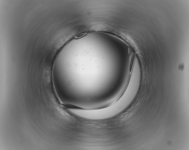 X0000090460393200707272241