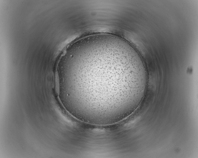X0000090460394200707272241