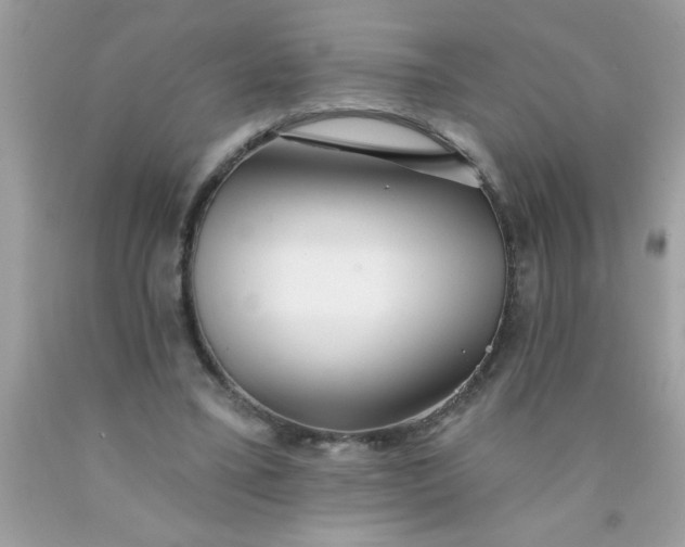 X0000090460395200707272241