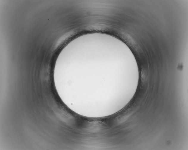 X0000090460396200707272241