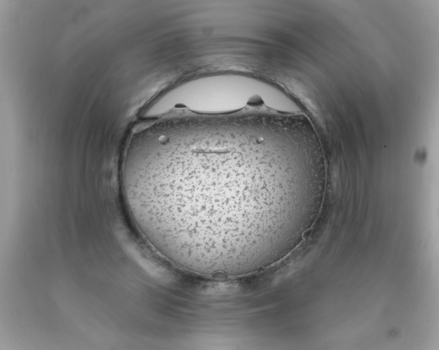 X0000090460398200707272241