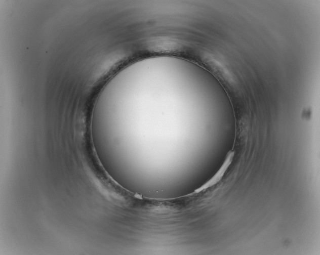 X0000090460400200707272241