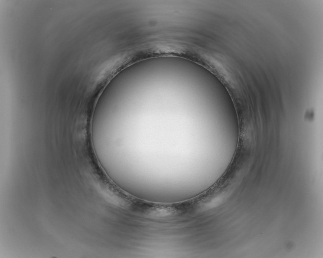 X0000090460402200707272241