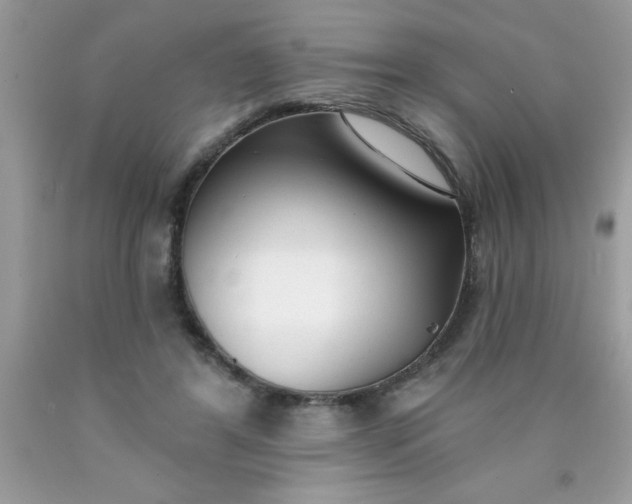 X0000090460404200707272241