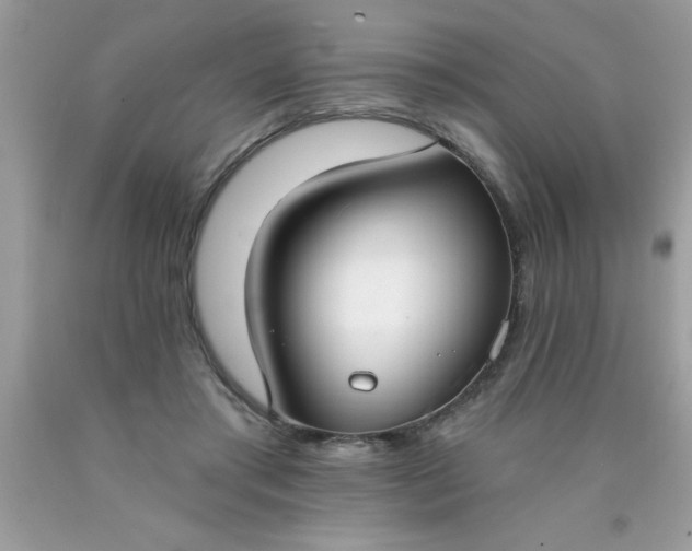 X0000090460405200707272241
