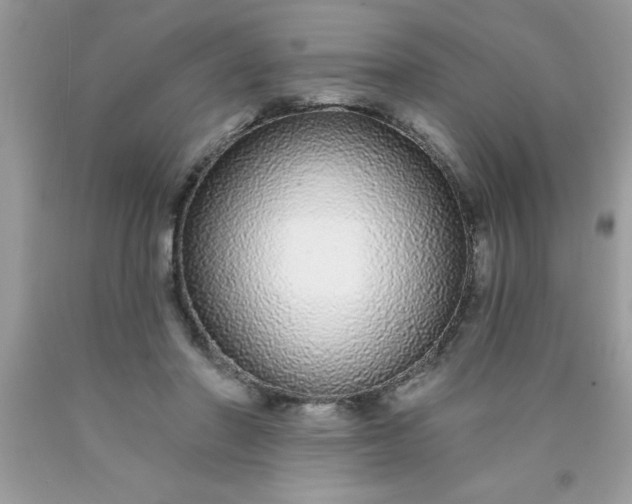 X0000090460406200707272241