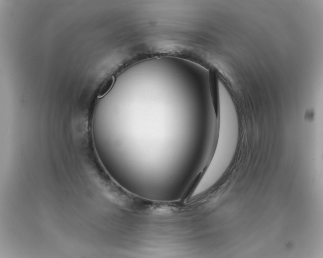 X0000090460407200707272241