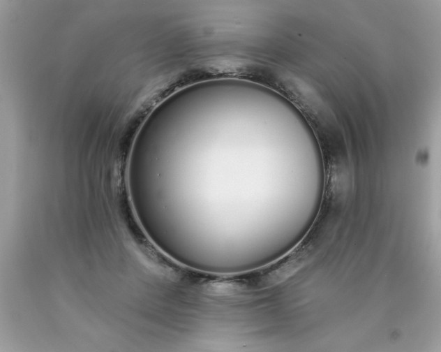 X0000090460408200707272241