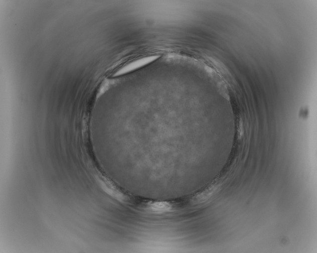 X0000090460409200707272241