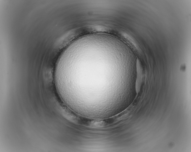 X0000090460410200707272241