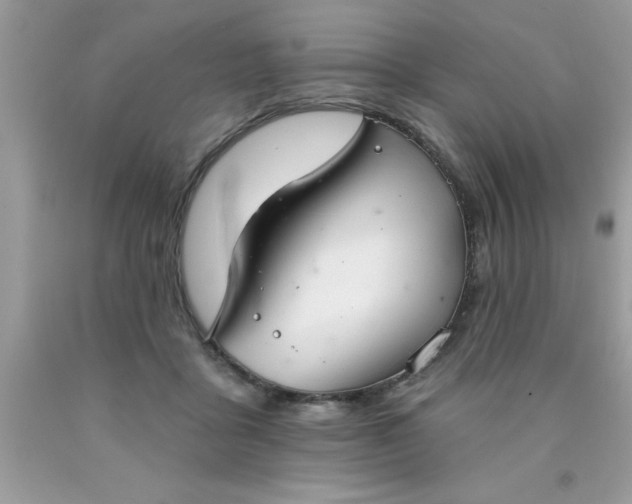 X0000090460411200707272241