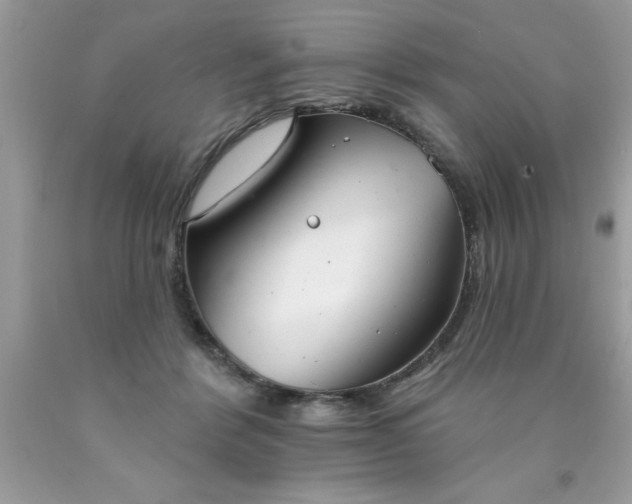 X0000090460412200707272241