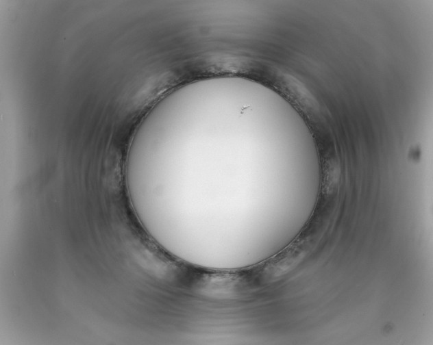 X0000090460414200707272241